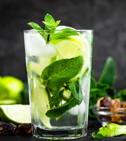 Coconut Mojito Cocktail Recipe
