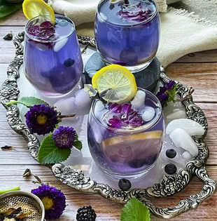 Summer Drinks
